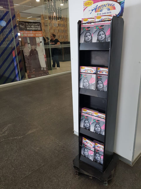 Revista zonal centro comercial vista norte