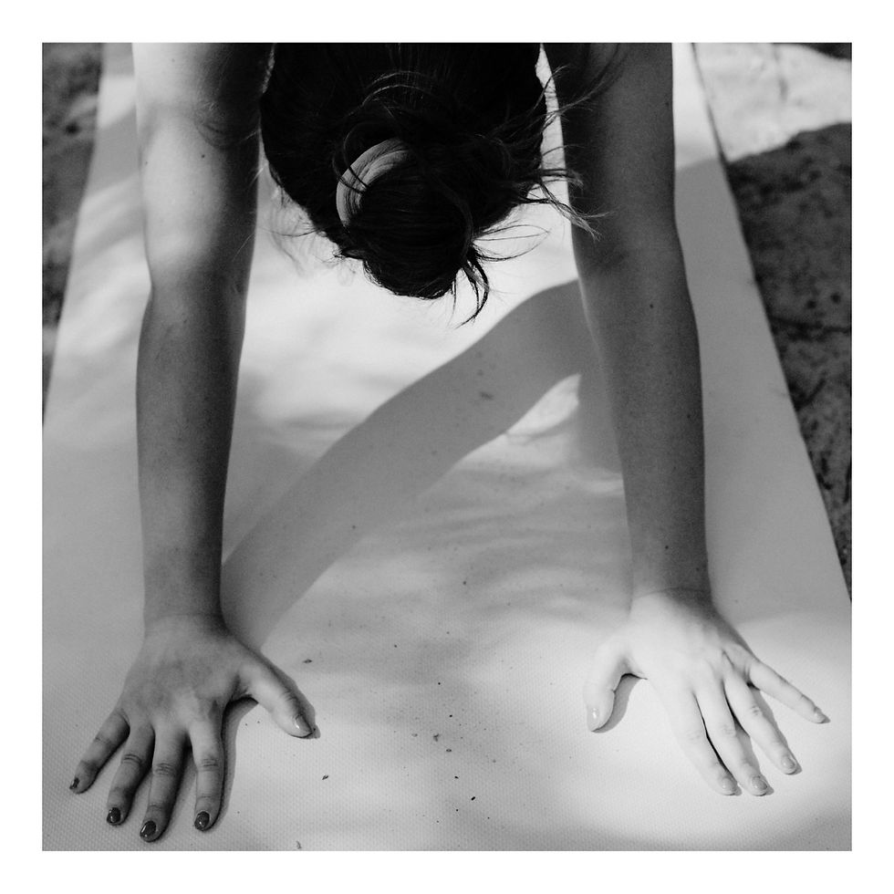 Host your Retreat at La Betulia Oaxaca Mexico1