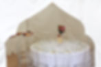 Luxury Pergola Baby Shower
