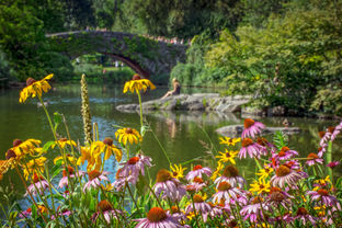AdobeStock_87902602.jpeg