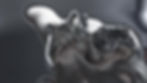 271650405_977234536247997_7115342659333936505_n.jpg
