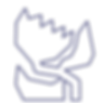 WEDDING-ICONS-06.png