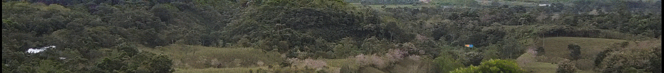 Cintillo-Tigo-Mundial-10S-Version Institucional_1.gif