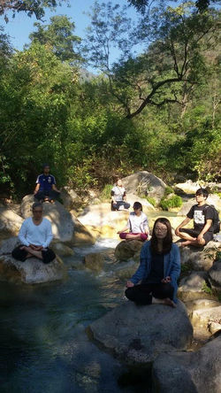 Meditation in nature