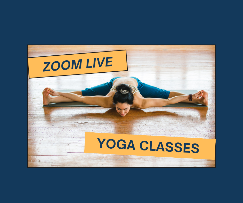 Online Yoga Classes ZOOM Bindusar Yoga