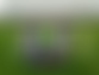 Girls Inter-School Football Matches