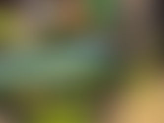 'Tell Us A Story' Parent Workshop