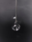 2E2A58191 1_edited.jpg