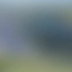   Germany awards 2.23 GW in PV tender, with lowest bid of €0.0362/kWh 