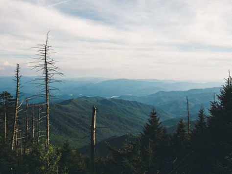 Appalachian Power seeks 1.1GW of renewables in new RFP