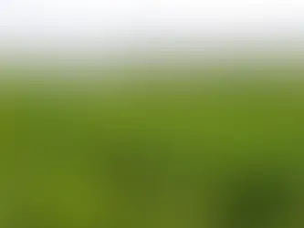 Bluefield to shed half of 112-MW solar portfolio to GLIL