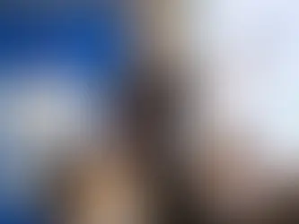 SolarPower Europe pleads for flexibility revolution, based on stronger grids, storage and electrification