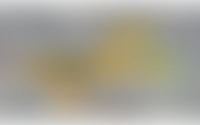 NADBank says Recurrent Energy Texas BESS ‘carries acceptable risk’ for construction loan