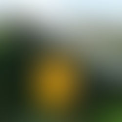   Sinovoltaics releases inverter manufacturer financial stability ranking 