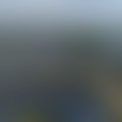   India installed 2.38 GW of utility-scale solar in Q1 