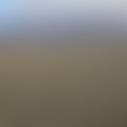 Property owners look to large-scale solar to revitalize land