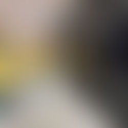   First Solar revenue falls in  Q1 as US facility investments take priority 