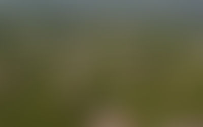 Nova Scotia regulators approve CA$354 million BESS portfolio in Atlantic Canadian province