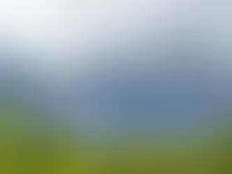 Mainstream, Someva win permit to study 500-MW wind project in NSW forest