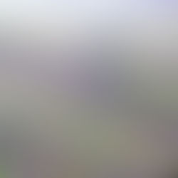 Chinese PV Industry Brief: Longi gets green light for 1.05 GW wind, solar