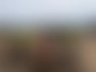 EnBW breaks ground on 60.5-MW solar project, to add wind and battery