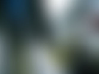 E-car boom in Norway