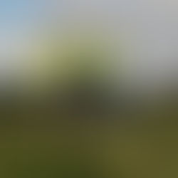 Solar farm under construction at Dublin Airport