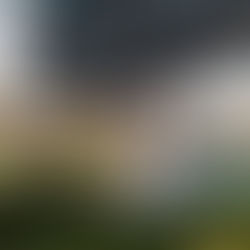 Pre-assembled residential solar canopy HelioWing product launches