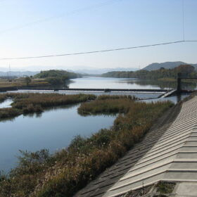 The warming effect of PV on land surface temperature