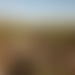 Australian polysilicon project shifts focus to silica feedstock