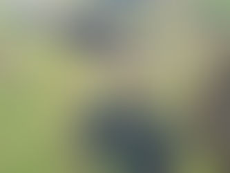 Italy: Utility-scale solar grows 373% in Q1 2024