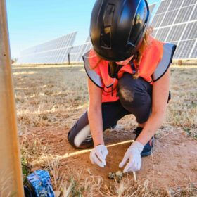 Big solar parks more environmentally-friendly than middle-sized PV facilities