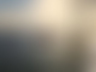 RWE begins site surveys for California floater