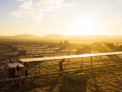 Redeux sells 450-MW US solar project trio to Pine Gate Renewables