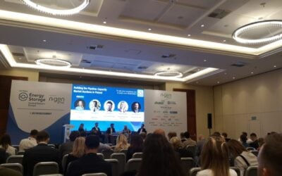 Energy storage de-rating factor cut in Poland capacity market ‘created an opportunity’