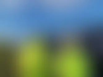 R.Power to build 23 MWp of Romanian solar parks