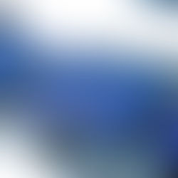 Chinese PV leaders ask Beijing for new tender pricing mechanisms