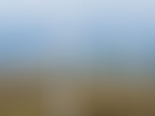 Octopus acquires land for 1GW Oz wind farm