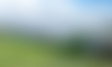 Germany reveals results of latest solar tender