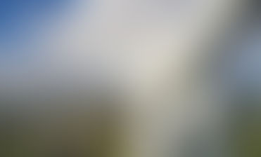 Energiequelle turns sod on German wind farm