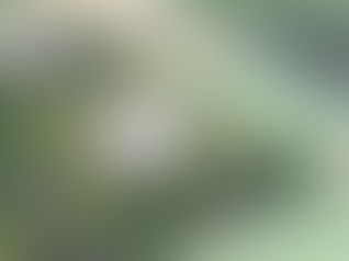 East Point Energy submits planning review for Virginia BESS, moratorium could impact New York project