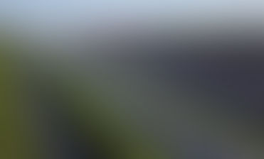 Acciona powers up 458MWp Texan PV project