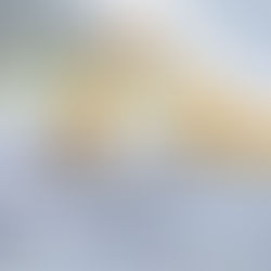   Chinese PV Industry Brief: Jinko to build 56 GW vertically integrated PV factory 