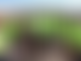 267 MW PV plant inaugurated in Brazil