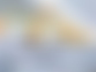 JinkoSolar 182mm TOPCon module reaches 25.42% conversion efficiency