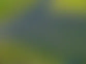 Modus-managed fund obtains EUR 20m in debt for Latvian PV portfolio