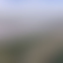   Australia confirms funding for 3 GW green hydrogen project 