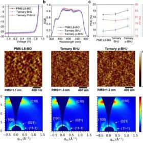 Chinese scientists achieve record-breaking 20% efficiency in single-junction organic solar cell