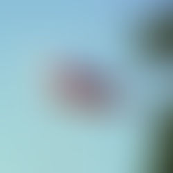 Philippines opens nation’s biggest solar-powered irrigation system