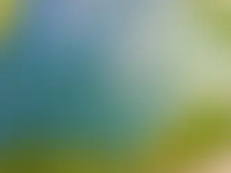 BluPine secures offtakers for new solar projects in India